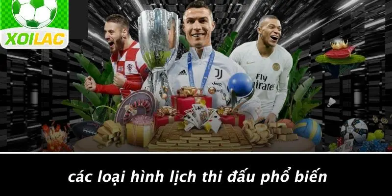 Các Loại Hình Lịch Thi Đấu Phổ Biến