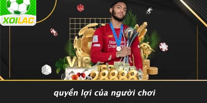 Quyền Lợi Của Người Chơi