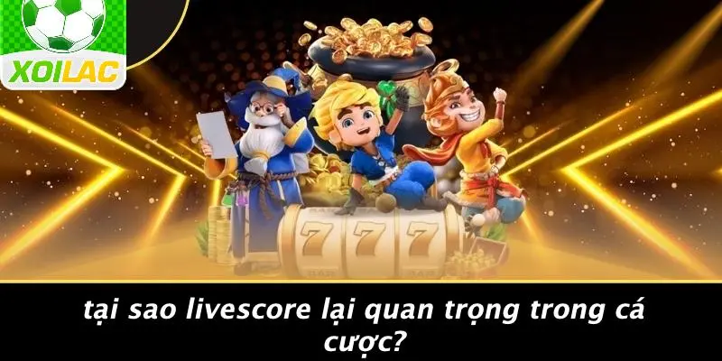 Tại Sao Livescore Lại Quan Trọng Trong Cá Cược?