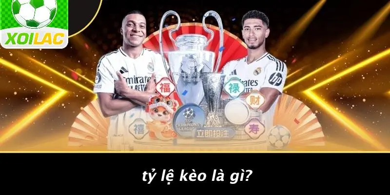 Tỷ Lệ Kèo Là Gì?
