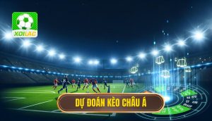 Dự đoán kèo châu Á