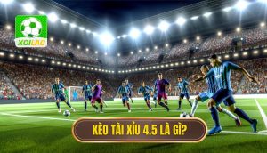 Kèo tài xỉu 4.5 là gì