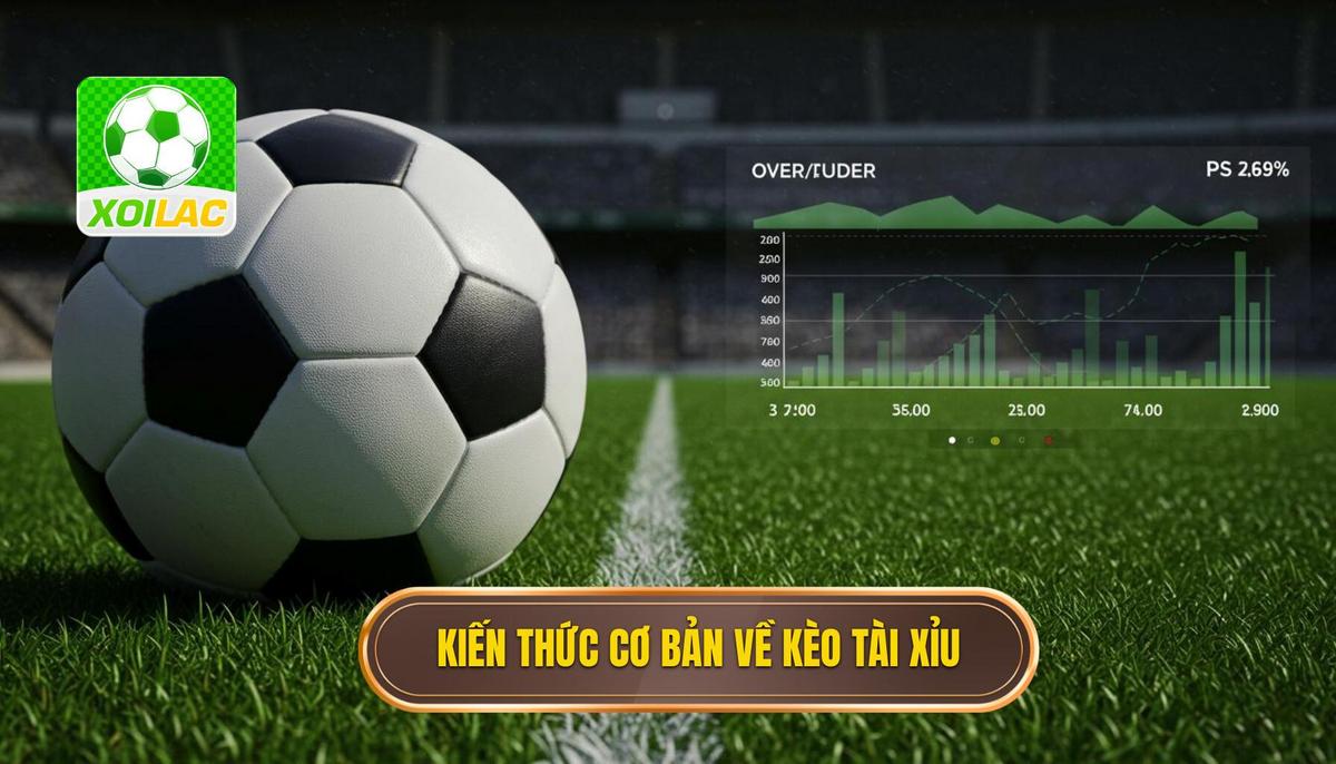 Nền Tảng Cơ Bản Về Kèo Tài Xỉu Trong Bóng Đá