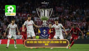Soi kèo các trận đấu cúp liên đoàn Tây Ban Nha