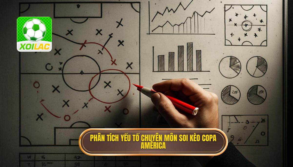 Phân Tích Yếu Tố Chuyên Môn Khi Soi Kèo Vòng Loại Copa América