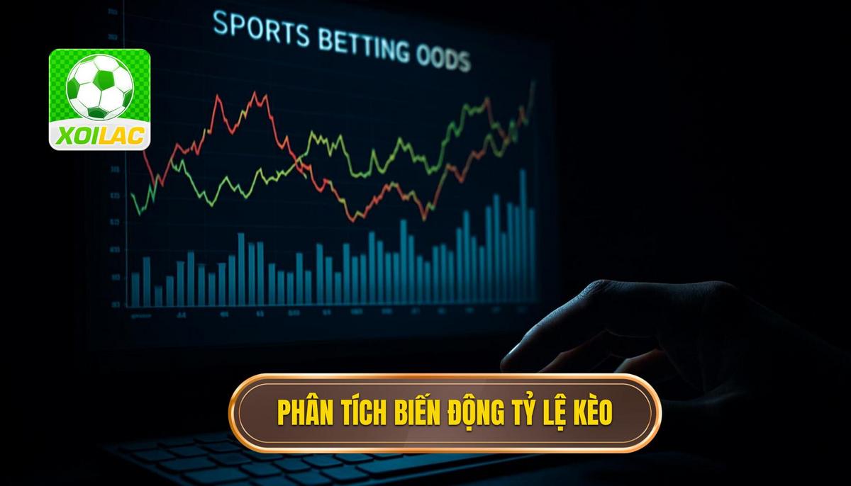 Phân tích biến động tỷ lệ kèo từ nhà cái