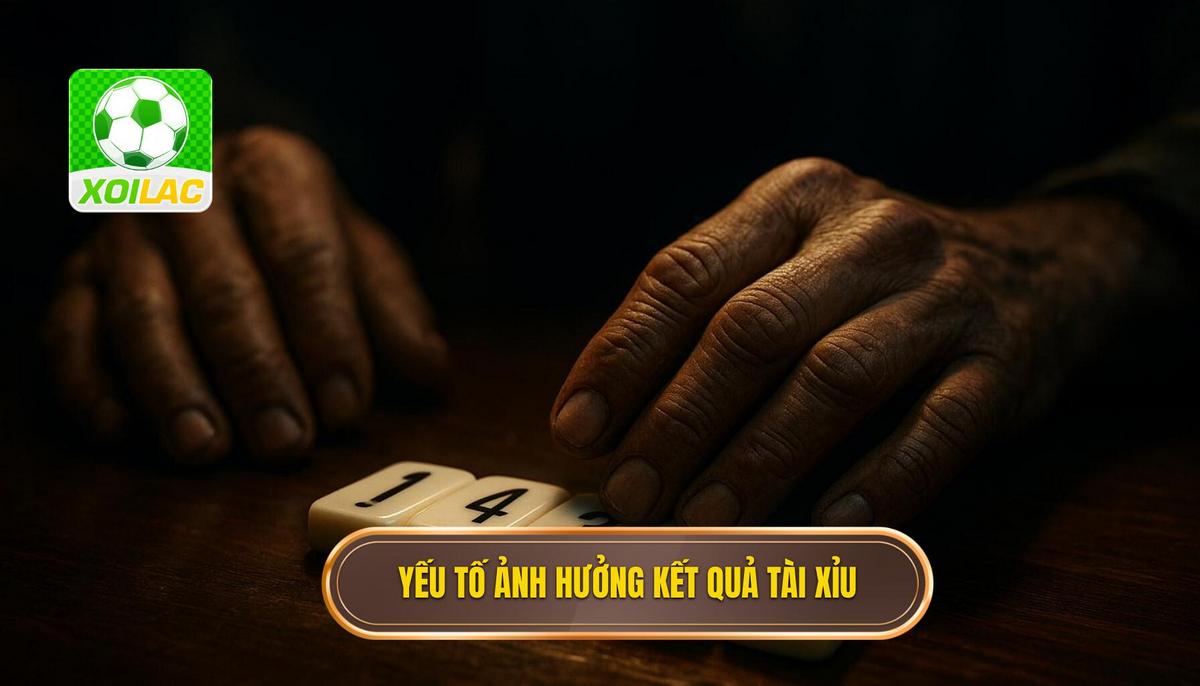Phân tích các yếu tố then chốt ảnh hưởng đến kết quả tài xỉu