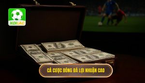 thumb - cá cược bóng đá lợi nhuận cao
