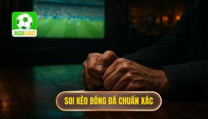 thumb - soi kèo bóng đá chuẩn xác
