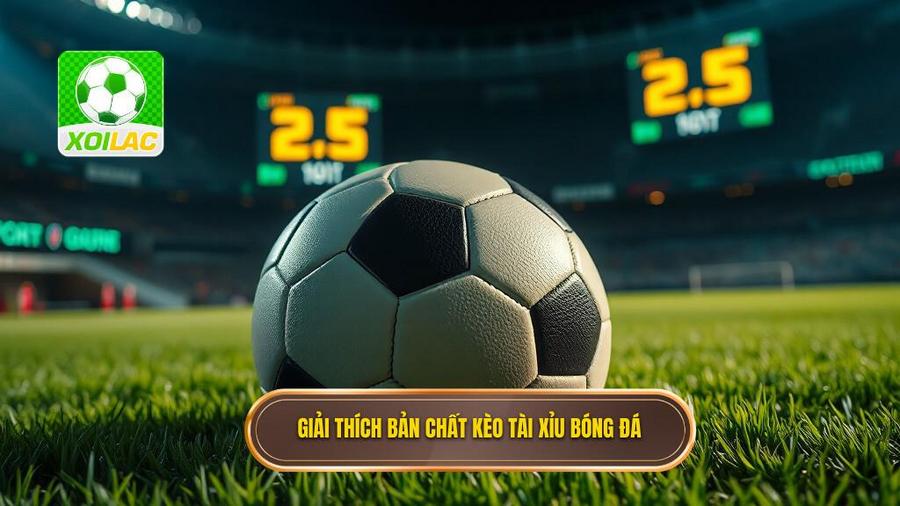 Hiểu rõ bản chất kèo bóng đá tài xỉu là gì?