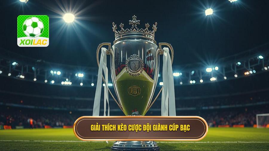 Hiểu đúng về kèo cược đội giành cúp bạc là gì?