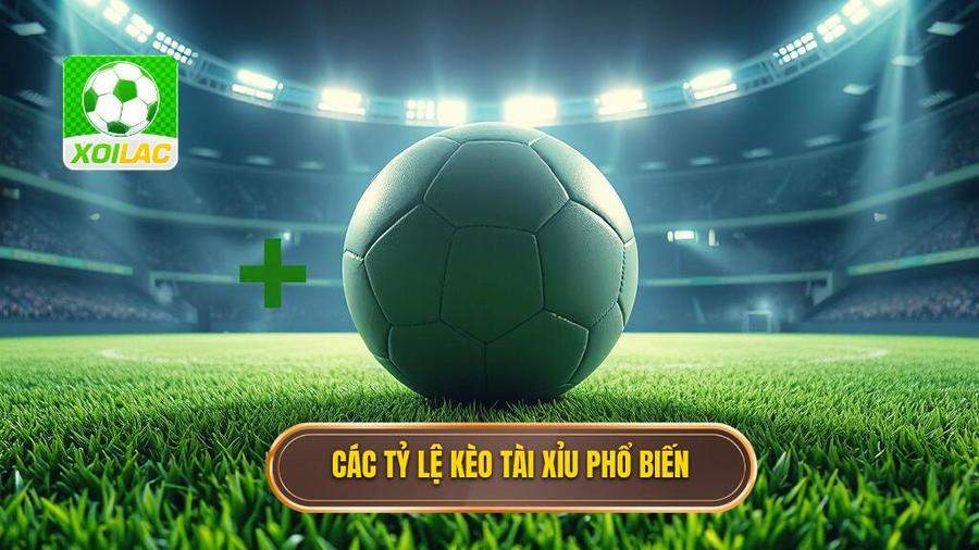 Các tỷ lệ kèo bóng đá tài xỉu phổ biến hiện nay