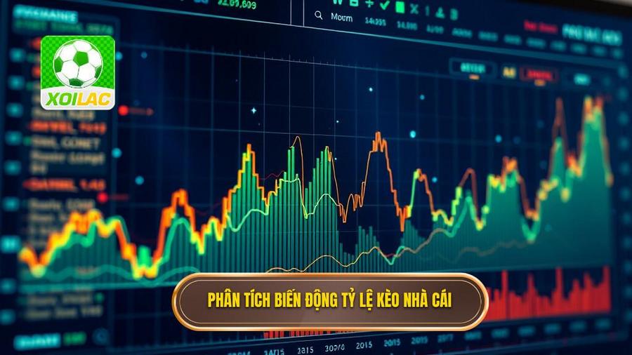 3. Phân tích biến động tỷ lệ kèo nhà cái