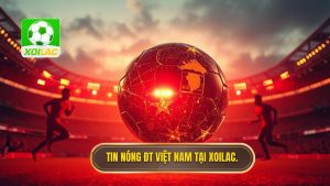 Tin nóng đội tuyển Việt Nam