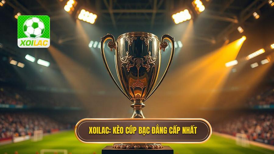 Kèo cược đội giành cúp bạc: Kinh nghiệm soi kèo chuẩn từ XOILAC