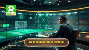 Nhận định bóng đá từ chuyên gia