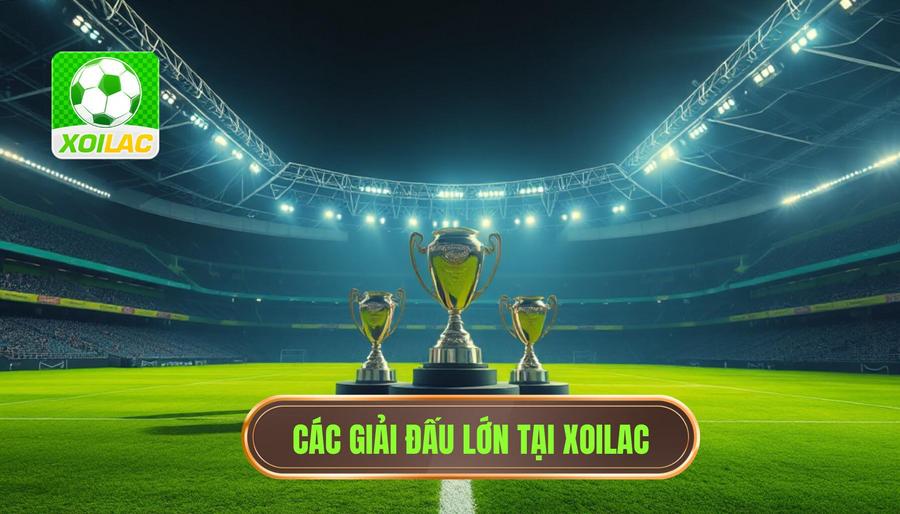 Các giải đấu hàng đầu có mặt tại lịch thi đấu Xoilac