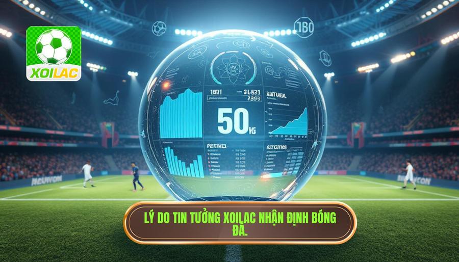Tại sao nên tin tưởng Xoilac nhận định bóng đá? Tại sao nên tin tưởng Xoilac nhận định bóng đá?