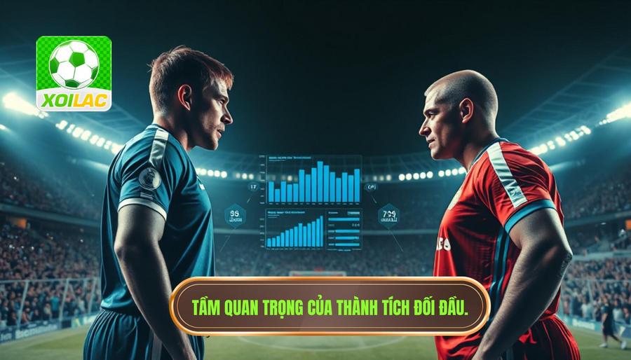 Tại sao Xoilac thành tích đối đầu lại quan trọng đến vậy? Tại sao Xoilac thành tích đối đầu lại quan trọng đến vậy?