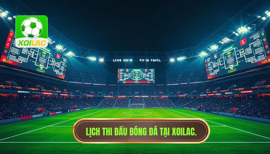 Các giải đấu hàng đầu được cập nhật tại Xoilac lịch thi đấu hôm nay Các giải đấu hàng đầu được cập nhật tại Xoilac lịch thi đấu hôm nay
