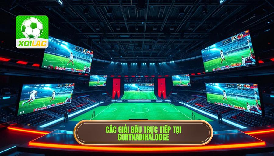 3. Các giải đấu được phát sóng trực tiếp tại gortnadihalodge.com 3. Các giải đấu được phát sóng trực tiếp tại gortnadihalodge.com